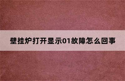 壁挂炉打开显示01故障怎么回事