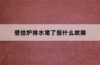 壁挂炉排水堵了报什么故障