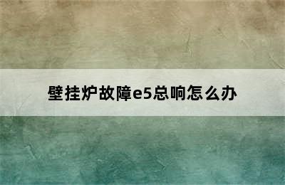 壁挂炉故障e5总响怎么办