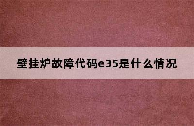 壁挂炉故障代码e35是什么情况