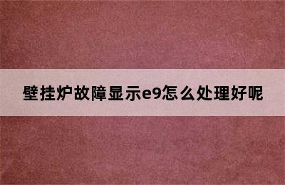 壁挂炉故障显示e9怎么处理好呢