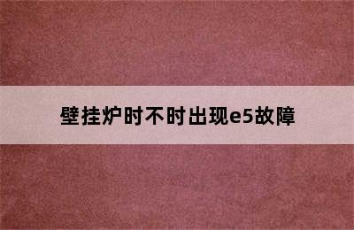 壁挂炉时不时出现e5故障