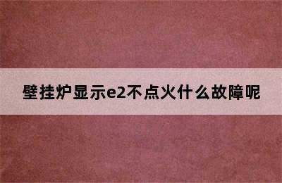 壁挂炉显示e2不点火什么故障呢