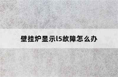 壁挂炉显示l5故障怎么办