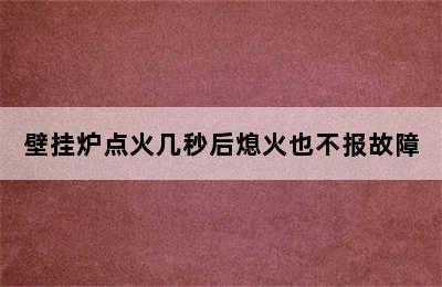 壁挂炉点火几秒后熄火也不报故障