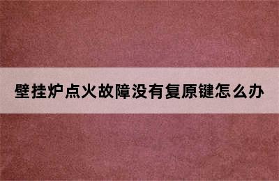 壁挂炉点火故障没有复原键怎么办