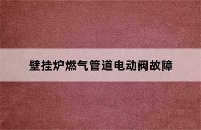 壁挂炉燃气管道电动阀故障