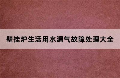 壁挂炉生活用水漏气故障处理大全