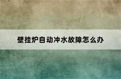 壁挂炉自动冲水故障怎么办