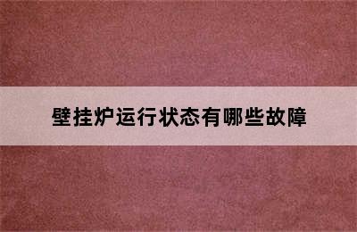 壁挂炉运行状态有哪些故障