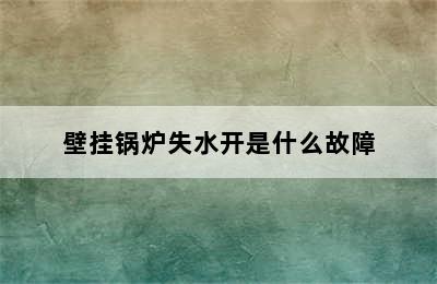 壁挂锅炉失水开是什么故障