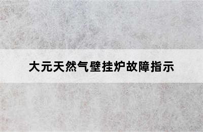 大元天然气壁挂炉故障指示