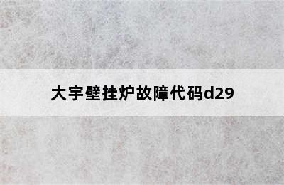 大宇壁挂炉故障代码d29