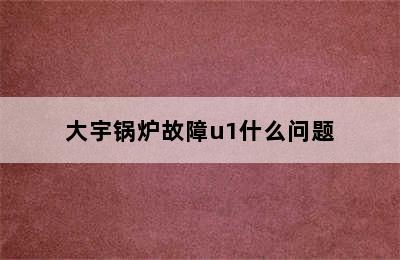 大宇锅炉故障u1什么问题