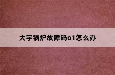 大宇锅炉故障码o1怎么办