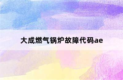 大成燃气锅炉故障代码ae