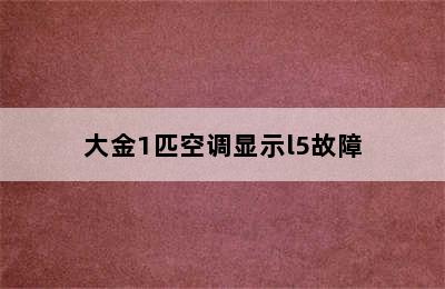 大金1匹空调显示l5故障