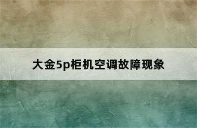 大金5p柜机空调故障现象