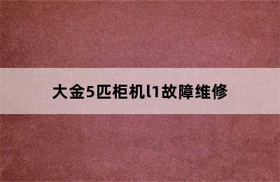 大金5匹柜机l1故障维修