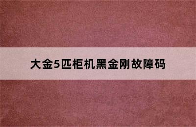 大金5匹柜机黑金刚故障码