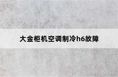 大金柜机空调制冷h6故障