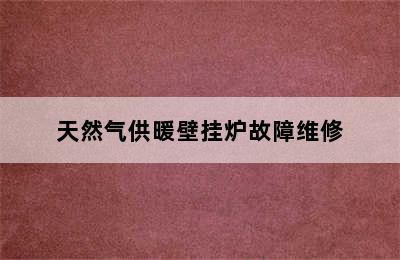 天然气供暖壁挂炉故障维修