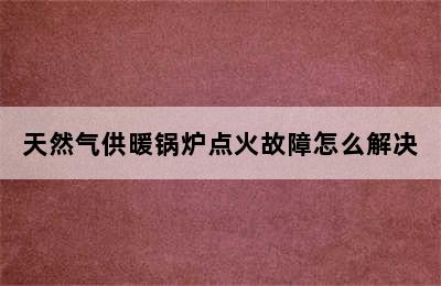 天然气供暖锅炉点火故障怎么解决