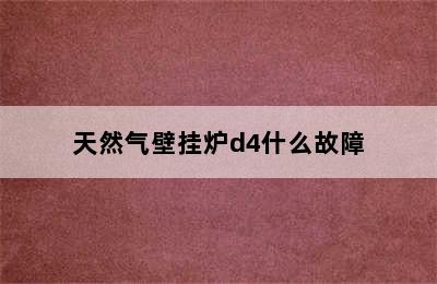 天然气壁挂炉d4什么故障