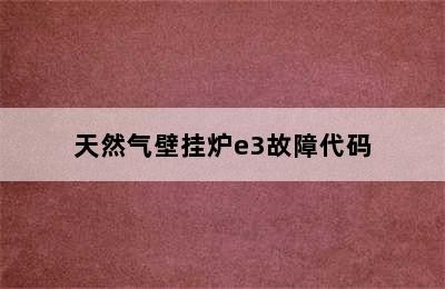 天然气壁挂炉e3故障代码