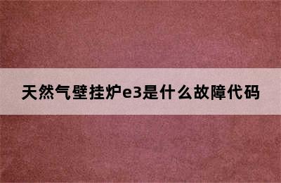 天然气壁挂炉e3是什么故障代码