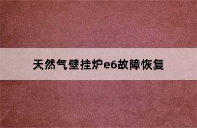 天然气壁挂炉e6故障恢复