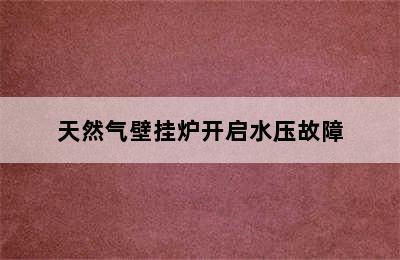 天然气壁挂炉开启水压故障