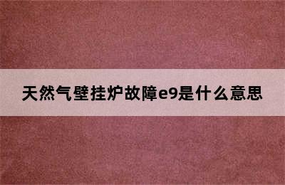 天然气壁挂炉故障e9是什么意思