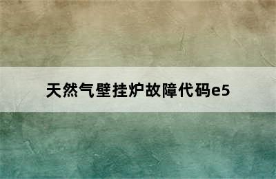 天然气壁挂炉故障代码e5