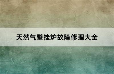 天然气壁挂炉故障修理大全