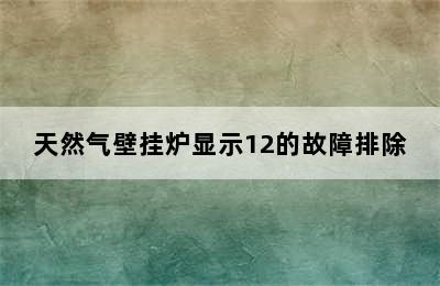 天然气壁挂炉显示12的故障排除