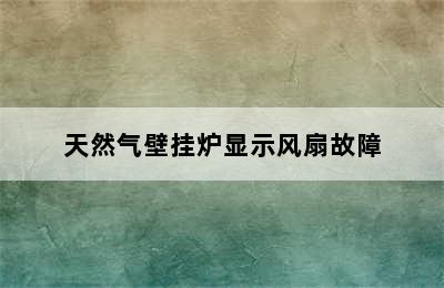 天然气壁挂炉显示风扇故障