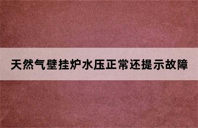 天然气壁挂炉水压正常还提示故障