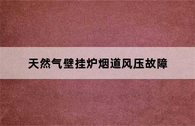 天然气壁挂炉烟道风压故障