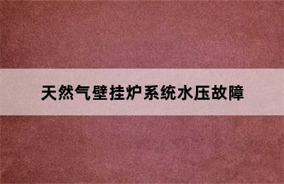 天然气壁挂炉系统水压故障