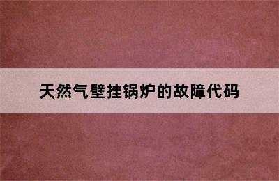 天然气壁挂锅炉的故障代码