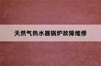 天然气热水器锅炉故障维修