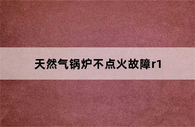 天然气锅炉不点火故障r1