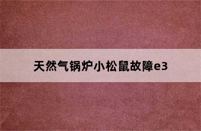 天然气锅炉小松鼠故障e3