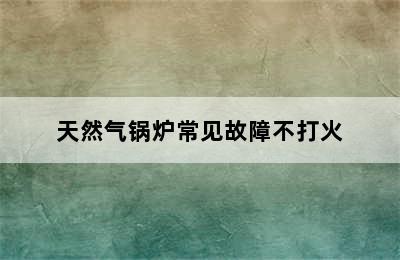 天然气锅炉常见故障不打火