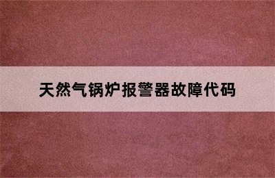 天然气锅炉报警器故障代码