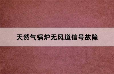 天然气锅炉无风道信号故障