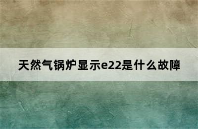 天然气锅炉显示e22是什么故障