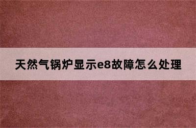 天然气锅炉显示e8故障怎么处理