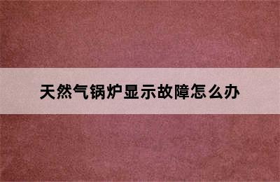 天然气锅炉显示故障怎么办